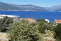Commercial property  in Krasici, Montenegro