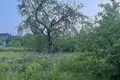 Działki  Kalodziscanski sielski Saviet, Białoruś