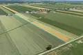 Appartement 58 000 m² Magdalenki, Pologne