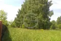 Land  Nikonovskoye, Russia