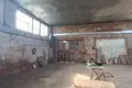 Magazyn 1 426 m² Dziamidavicki sielski Saviet, Białoruś