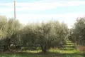Land in Greece, Greece