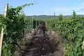 Land 50 000 m² Tbilisi, Georgia
