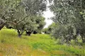 Land 1 room  Agios Stefanos, Greece