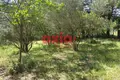 Działki 4 650 m² Amisiana, Grecja