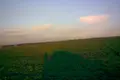 Propriété commerciale  à Nova Dofinivka, Ukraine