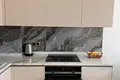 Modern Skyline Apartment Near the Coast in Desirable Tosmur
