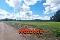 Działki 99 600 m² Marupe, Łotwa