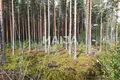 Коттедж  Iljanvaara, Финляндия
