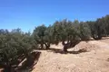 Земельные участки  Plaka, Греция