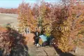 Шале 1 комната 47 м² Virak, Черногория