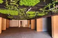 Wohnung 20 m² Rafailovici, Montenegro