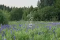 Land 2 000 m² Dudenevo, Russia