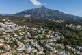 2 bedroom apartment  San Pedro Alcantara, Spain