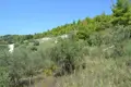 Land 1 room 7 000 m² Agia Paraskefi, Greece