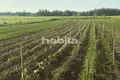 5 bedroom villa 365 m² Nitaures pagasts, Latvia