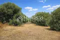 Land 5 300 m² Kalandra, Greece
