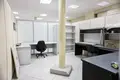 Manufacture 7 rooms 400 m² in Minsk, Belarus