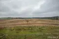 Nieruchomości komercyjne 569 m² Ozyaritska Slabadski rural council, Białoruś
