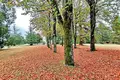 Château 14 chambres 540 m² Aubeterre-sur-Dronne, France