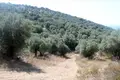Land 1 room  Aristotle Municipality, Greece