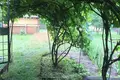 Dom 39 m² Rudzienski sielski Saviet, Białoruś