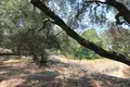 Земельные участки 1 комната  Рода, Греция