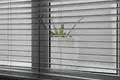 1 bedroom apartment 126 m² Thermaikos Municipality, Greece