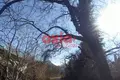 Atterrir 8 000 m² Palaiochori, Grèce