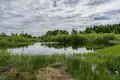 House 95 m² Sarsunski sielski Saviet, Belarus
