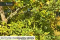 Земельные участки  Вильнюс, Литва