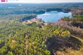 Działki  Łoździeje, Litwa