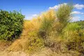 Parcelas 8 200 m² Megali Panagia, Grecia