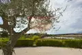 Commercial property 1 600 m² in Grosseto, Italy