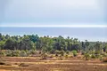 Mieszkanie 2 pokoi 70 m² Torrevieja, Hiszpania