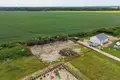 Działki 1 138 m² Kazmierz, Polska