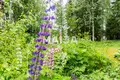 Chalet  Rovaniemi sub region, Finlande