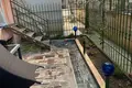 Wohnung 2 zimmer 45 m² Durrës, Albanien