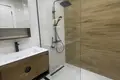 1 bedroom rent in monolith green city ortachala