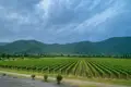  Fully equipped, brand-new wine factory with a full production cycle, located in Kvareli 