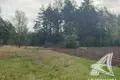 Land  Recycki sielski Saviet, Belarus