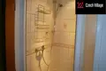Dom 170 m² Nejdek, Czechy