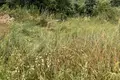 Parcelas 7 800 m² Czerlejnko, Polonia