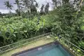Willa 2 pokoi 190 m² Ubud, Indonezja