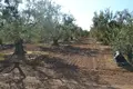 Atterrir 1 chambre  Sozopoli, Grèce
