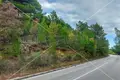 Land 1 736 m² Naklice, Croatia