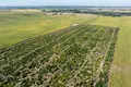 Parcelas 448 500 m² Lubowice, Polonia