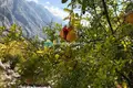 Квартира 1 спальня 65 м² Donji Orahovac, Черногория