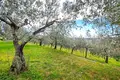 Дом 316 м² Upravna enota Piran Unita amministrativa Pirano, Словения