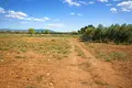 Parcelas 8 866 m² Neos Marmaras, Grecia